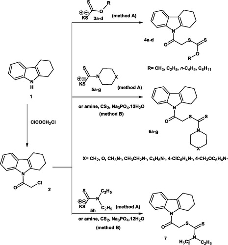 Scheme 1. Synthesis of tetrahydrocarbazoles hybridized with dithioate derivatives.