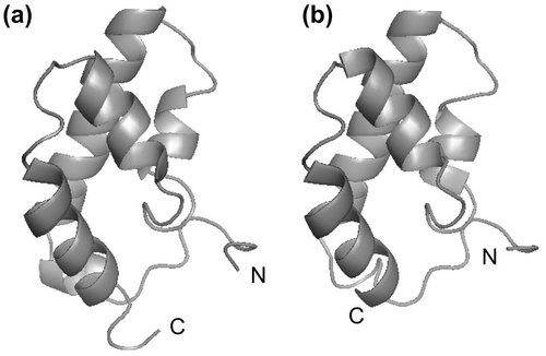Fig. 3. The tertiary structures of CHH-family peptides.