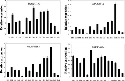 Figure 2. Real-time PCR analysis of OsDUF1664 genes in different tissues of Nipponbare rice. Fifteen representative tissues are as follows: Lb1, leaf blade at four-leaf stage; Lb2, leaf blade from plants with four tillers; Lb3, leaf blade at ripening stage; Ls1, leaf sheath at four-leaf stage; Ls2, leaf sheath from plants with four tillers; Rt1, root at four-leaf stage; Rt2, root from plants with four tillers; St1, stem from plants with four tillers; St2, stem at ripening stage; An, 1.2–1.5 mm anther; Pi, pistil from 10–14 cm inflorescence; Em1, embryo at 7 days after flowering; Em2, embryo at 28 days after flowering; En1, endosperm at 7 days after flowering; En2, endosperm at 28 days after flowering. Note: The rice Actin1 transcript levels were used as internal controls. Error bars indicate standard error of the means based on three biological replicates.