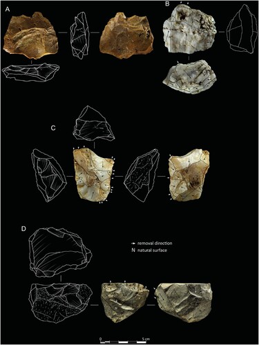 Figure 9. EDAR 155, cores. A) Recurrent Levallois, B) multiplatform core, C) discoidal, and D) unidirectional; A) Hudi chert, B–C) quartz, and D) rhyolite. Photos: M. Jórdeczka.