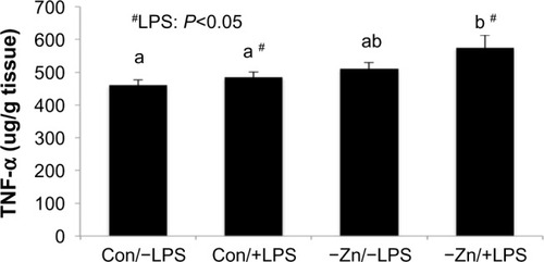Figure 3 Comparison of hepatic tumor necrosis factor-α (TNF-α) protein levels of mice consuming zinc adequate (Con) or inadequate (−Zn) diet with (1 mg/kg body weight) or without (0 mg/kg body weight) lipopolysaccharide (LPS) treatment. Bars with # indicate an LPS main effect (P<0.05). Bars that share the same superscript letters are not significantly different from each other (Diet × LPS; P<0.05).