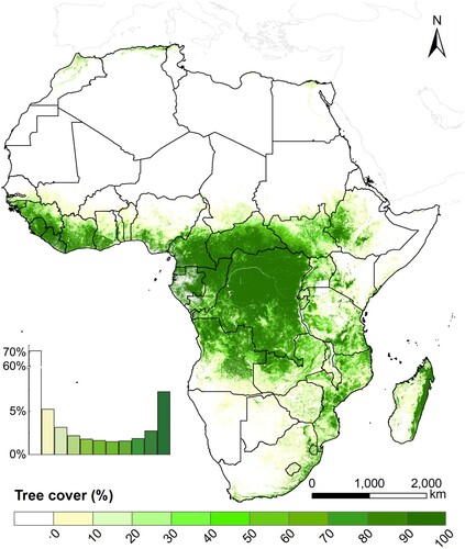 Figure 2. Spatial distribution of tree cover in 2020 for Africa.