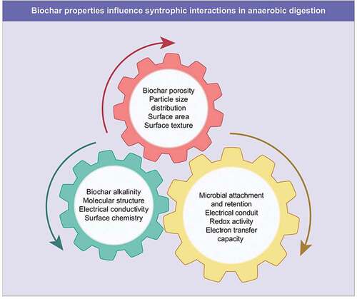 Figure 1. Properties of biochar and their role in promoting syntrophy in AD
