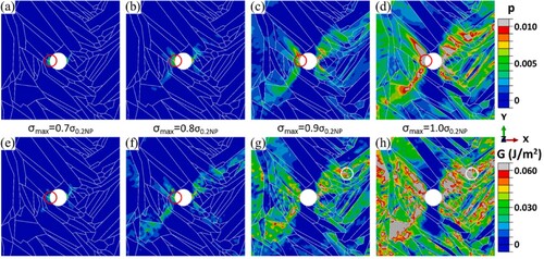 Figure 19. The distributions of plastic strain accumulation and stored energy density at the 20th cycle in gas/keyhole pore microstructure at different cyclic loading levels: (a, e) σmax = 0.7σ0.2NP, (b, f) σmax = 0.8σ0.2NP, (c, g) σmax = 0.9σ0.2NP, and (d, h) σmax = 1.0σ0.2NP [Citation273].