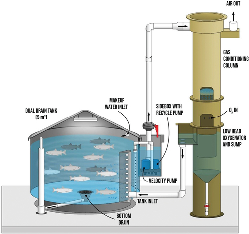 Figure 1. Water flow and process design for an individual partial reuse depuration system.