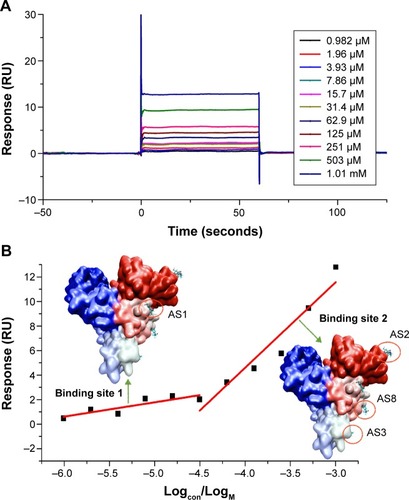 Figure 4 SPR dose–response sensorgrams of AS with immobilized BSA.