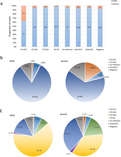 Figue 5. (a) Severity distribution of HFMD inpatients induced by different serotypes in the Public Health Clinical Center of Chengdu, 2017-2022; (b) Pie charts showing the detection rates of enterovirus serotypes in groups of patients with mild and severe HFMD from 10 June 2017 to 10 March 2022; (c) Pie charts showing the detection rates of enterovirus serotypes in groups of patients with mild and severe HFMD from 29 July 2018 to 10 March 2022.