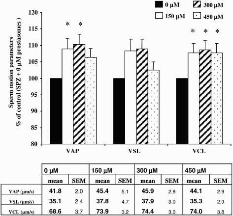 Figure 3.  Effect of different concentrations of prostasomes on sperm motion parameters. The addition of prostasomes to spermatozoa resulted in an increase of VAP and VCL. For VAP, only 150 and 300 μM of prostasomes had a significant effect whereas all 3 three concentrations analyzed had a promoting effect on VCL. The table indicates the mean values measured for each parameter considered. The values are means ± SEM, n = 10. * significantly different (p < 0.05) compared with control (SPZ + 0 μM prostasomes). A table with raw data (means ± SEM) for VAP, VSL and VCL (expressed in μm/s) obtained from the CASA analysis is presented.