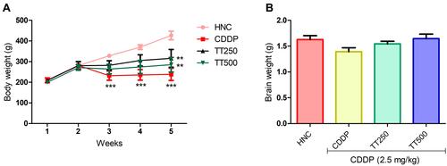 Figure 2 Effect of TT on (A) body and (B) brain weight in CDDP induced neurotoxicity in rats. Results are expressed as mean ±SD (n=6) and analyzed using one way ANOVA followed by Tukey's post hoc test. *p<0.001 indicates significant difference compared to HNC group; **p<0.001 indicates significant difference compared to CDDP group.