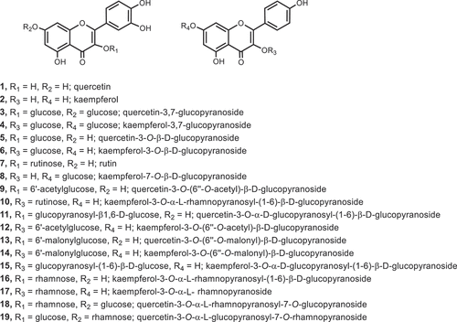 Figure 5. Chemical structures of flavonoids in mulberry leaves.