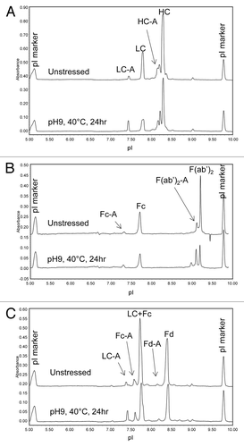 Figure 11. cIEF electropherogram overlays of unstressed (top) and high pH stressed (bottom) mAb A1 following (A) partial reduction, (B) IdeS digestion, and (C) IdeS digestion and partial reduction. Acidic species are denoted by “-A.”