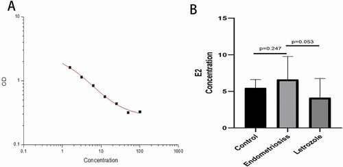 Figure 3. Serum E2 concentration of rats was detected by ELISA. (A) is the standard curve, the correlation is 0.998. (B) Compared with the control group, estrogen concentration in the endometriosis group was slightly increased (P = 0.247), but the difference was not statistically significant. Estrogen concentration decreased after letrozole administration (P = 0.053), but the difference was not statistically significant.