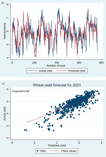 Figure 10. a) comparison of model-predicted wheat yield with actual yield; b) scatter plot of predicted wheat yield with actual yield.