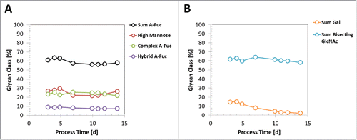 Figure 9. Dynamic of glycan species profile during a fed-batch process. A mAb3 expressing clone 5 was cultivated in a 14-day fed-batch process using media CDM-B and respective feeds. A: The glycan species abundance at different process timepoints, measured by RP-HPLC, is shown for sum of a-fucosylated (A-fuc) IgGs, sum of high mannose IgGs, sum of a-fucosylated complex-type IgGs, and sum of a-fucosylated hybrid-type IgG. B: The abundance of galactosylated IgGs and sum of GlcNAc-bisecting glycan species is shown.