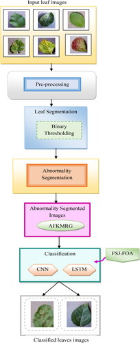 Figure 1. Presentation of an offered multi-disease classification method for plant leaves.