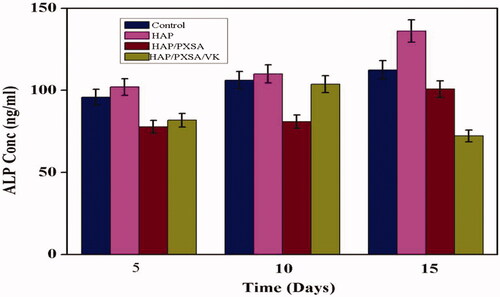 Figure 7. Concentrations of ALP produced by MSCs post differentiation by various biomaterials at days 5, 10 and 15.