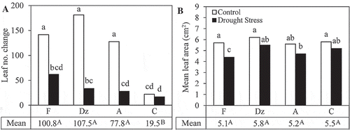 Figure 2. The effect of drought stress on (A) leaf number changes and (B) area of fully expanded leaves of olive cultivars: Fishomi (F), Dezful (Dz), Amigdalolia (A), Conservolia (C). Means (n = 4) with different letters are significantly different at 5% level of the Duncan’s multiple range test. Upper case letters indicate significant differences between the cultivars.