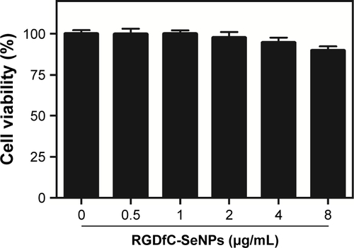 Figure S4 The in vitro cytotoxicity of RGDfC-SeNPs on HepG2 cells.Abbreviations: RGDfC, Arg-Gly-Asp-D-Phe-Cys peptide; SeNPs, selenium nanoparticles.