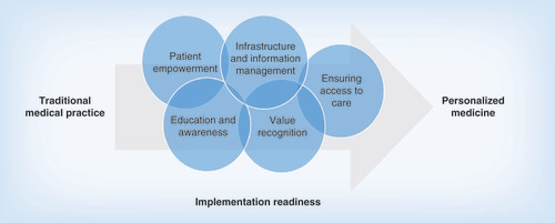 Figure 1.  Progression of strategies by area of need for the transition from traditional medical practice to personalized medicine.