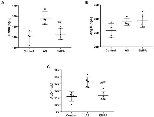 Figure 4 The serum level of renin (A), angiotensin II (B) and aldosterone (C) between groups. ##p<0.01 and ###p<0.001.