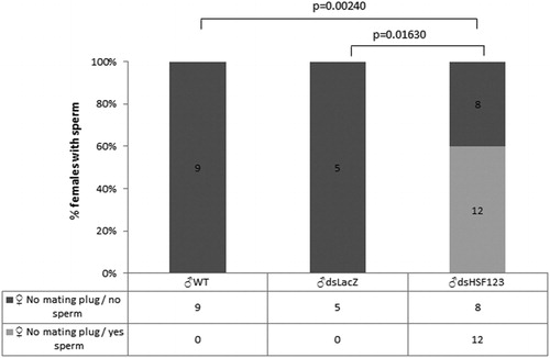 Figure 4. Sperm retention and mating plug. 4 days old virgin females were mated to dsHSF123-males (experimental group) and two control male groups (dsLacZ and WT). Histograms represent the total number of females without the mating plug in which the presence of sperm has been seen versus the total number of females in that group. A total of 30 females mated with dsHSF123 males, 32 females mated to dsLacZ and 33 females mated with WT males were considered. The differences between experimental and control groups were statistically assessed using the contingency χ2 test.