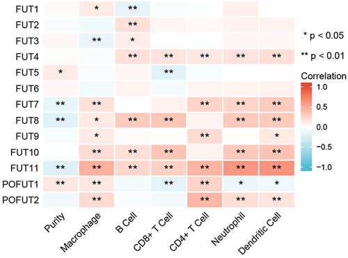 Figure 7 Correlation between immune infiltration and FUT expression in COAD by TIMER database. (*P<0.05, **P<0.01, ns: P>0.05).