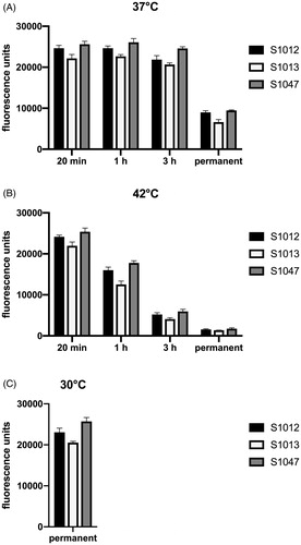 Figure 2. Effect of temperature pulses of 37 °C (A) or 42 °C (B) or permanent exposure to 30°C (C) on the metabolic activity of M. ulcerans. Cultures of the three freshly isolated [Citation49] Cameroonian M. ulcerans strains S1012 (black bars), S1013 (empty bars), and S1047 (grey bars) were grown in Difco Middlebrook 7H9 medium (BD), supplemented with 10% (vol/vol) Middlebrook OADC enrichment medium (BD) and 0.2% (vol/vol) glycerol at 30 °C in triplicate in microtiter plates. The bacterial cultures were treated for 5 days with one temperature pulse of 20 min, one hour or three hours per day. After 2 days of recovery at 30 °C, a resazurin microtiter assay adapted for the extremely slow-growing M. ulcerans [Citation50] was used to determine the metabolic activity of the bacteria. After the addition of 10% (vol/vol) of a resazurin solution (0.125 mg/mL, Sigma) to the cultures and incubation for another 3 days at 30 °C, end-point fluorescence reading (Ex540nm/Em588nm) was performed. Values represent means of fluorescent units ± SD.