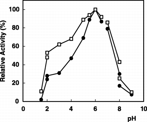 Figure 1. pH dependence of α‐galactosidase activity: (•); free enzyme, (□); immobilized enzyme.