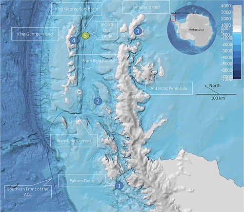 Fig. 1  Inset shows the location of the Antarctic Peninsula. Main figure is a regional map of the western Antarctic Peninsula study area including multibeam bathymetry from the International Bathymetric Chart of the Southern Ocean (Arndt et al. Citation2013), created using Fledermaus software (Quality Positioning Systems BV, Zeist, Netherlands). The location of the Antarctic Circumpolar Current (ACC) and Bransfield Current are shown. Four study sites with published records that data in this study are compared to are as follows: (1) Domack et al. (Citation2001); (2) Heroy et al. (Citation2008); (3) Michalchuk et al. (Citation2009); and (4) Milliken et al. (Citation2009) and Majewski et al. (Citation2012). This study (5) is the site of core JPC-24, collected during NBP0703.