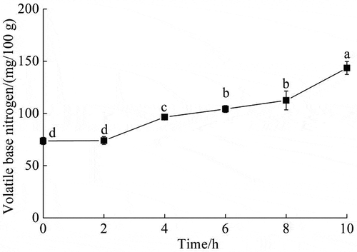 Figure 3. Change in volatile base nitrogen during Acetes chinensis enzymolysis. There is a significant difference between different lowercase letters (P < .05).Figura 3. Cambio en el nitrógeno base volátil durante la enzimólisis de Acetes chinensis. Existe una diferencia significativa entre las distintas letras minúsculas (P < .05)