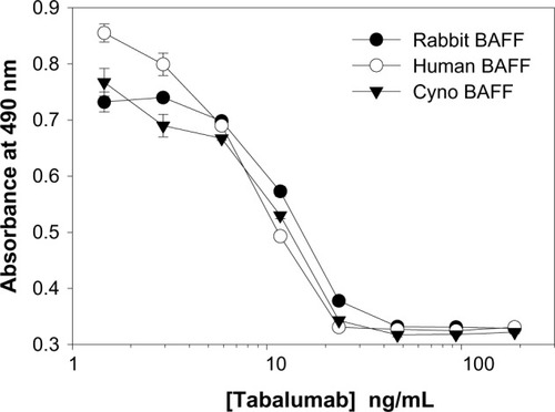 Figure 3 Tabalumab neutralization of soluble BAFF from multiple species.Notes: IC50 was calculated for soluble human BAFF (IC50: 104 pM, 95% CI 96–112 pM), soluble cynomolgus monkey BAFF (IC50: 143 pM, 95% CI 126–162 pM), or soluble rabbit BAFF (IC50: 176 pM, 95% CI 170–182 pM). T1165.17 cells were stimulated with 365 pM BAFF and proliferation was measured using a colorimetric method for determining the number of viable cells at 44 hours. Data are presented as mean ± SD.Abbreviations: BAFF, B-cell activating factor; CI, confidence interval; cyno, cynomolgus monkey; IC50, half maximal inhibitory concentration; SD, standard deviation.