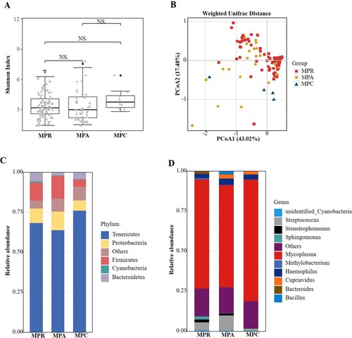 Figure 4. Comparisons of respiratory microbiota in MPP children enrolled based on different diagnostic standard. (A) Alpha diversity was evaluated by the Shannon index. (B) Principal coordinate analysis based on the Weighted Unifrac matrix. (C) Relative abundance of respiratory microbiota at the phylum level. (D) Relative abundance of respiratory microbiota at the genus level. NS, no significance.