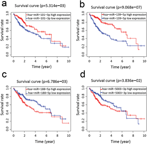 Figure 3. Four miRNas associated with overall survival in liver cancer patients: (a) hsa-miR-101-3p.(b) hsa-miR-139-5p, (c) hsa-miR-188-5p, (d) hsa-miR-5003-3p.