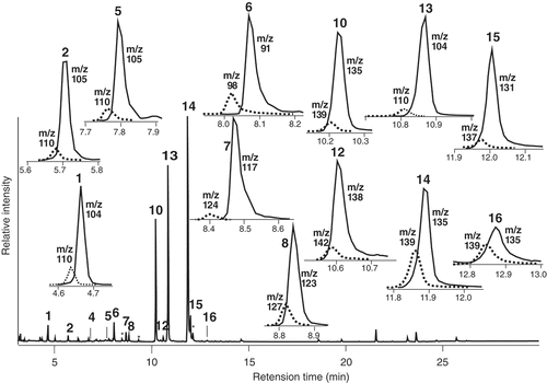 Figure 2. Typical GC profile of flower scents volatiles by mono trap RCC18, emanated from old flower panicle (OF) treated with d8-L-phenylalanine during 24–48 h (p2), and each peak analyses by SIC to assess d-labeled isomer content. Solid line: natural component, dotted line: d-labeled isomer.