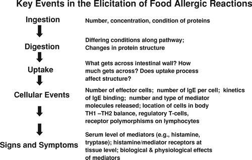 Figure 1 Major biological events and factors in the elicitation of a food allergic reaction.
