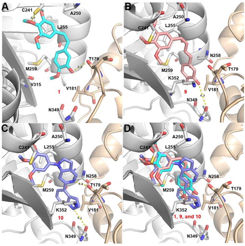 Figure 7. Proposed binding modes for 10t (C) in comparison with CA-4 (A) and 7 (B) at the colchicine-site. Carbon atoms are shown in cyan for CA-4, in salmon for 7, and in pale purple for 10t. The residues from the α-tubulin chain are shown in pale yellow, whereas residues from β-tubulin are coloured in gray.