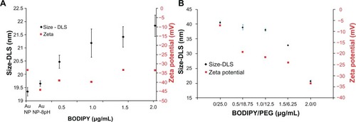 Figure 5 Dynamic light scattering and zeta potential of gold nanoparticles coated with (A) BODIPY® and (B) BODIPY-PEG.Abbreviations: DLS, dynamic light scattering; PEG, poly(ethylene glycol); AuNPs, gold nanoparticles.