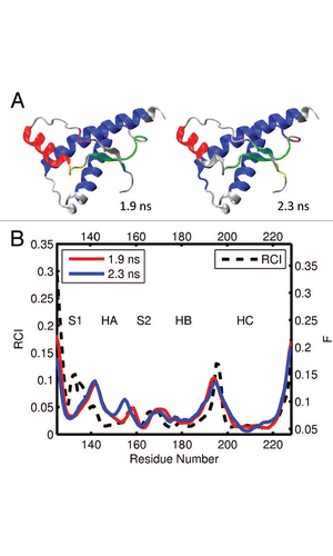 Figure 6 (A) Dynamical domains for hamster prion protein (shPrP) identified from a MD trajectory at times indicated by the subscripts. The meaning of colors is as in Figure 3. (B) Flexibility profiles at times indicated in the legend box. The dashed curve shows the experimental RCI profile from 2(d). Other examples for dynamical domains and flexibility profiles in hamster prion protein are given in Figures S7 and S8, respectively.