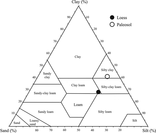 Fig. 4 Classification of Hungarian loess and interlayered palaeosols according to texture, based on the grain-size data depicted in Table 1. The textural classification used the USDA soil textural classification.