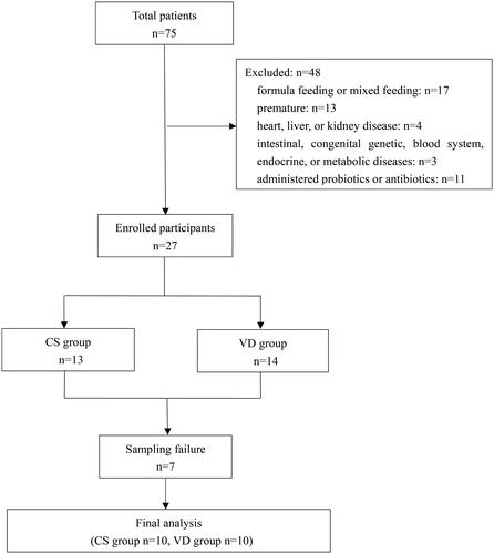 Figure 1. Flow chart of the study. CS: caesarean section; N: number; VD: vaginal delivery.