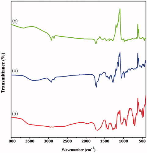 Figure 1. FTIR spectrum of (a) PXAG, (b) PXAG-PHB and (c) PXAG-PHB/FFE scaffold.