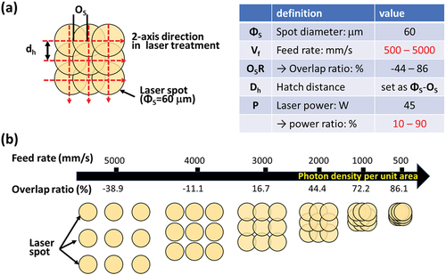 Figure 3. Laser surface pre-treatment. (a) Conditions and definitions; (b) Correlation of feed rate (Vf) and overlap ratio (OsR).