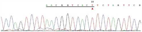 Figure 4 Result of clone sequencing of the differential polymerase chain reaction product.