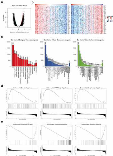 Figure 4. Enrichment analysis of AKT3 co-expressed genes. (a) Volcano map of genes significantly associated with AKT3. (b) Heat Map showing genes that are significantly positively and negatively related to AKT3. (c) Most enriched GO terms from Biological Process, Cellular Component, and Molecular Function. D, (e) Most enriched KEGG pathways