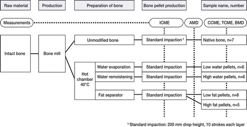 Figure 1. Flow chart of study logistics from intact bone to production of morsellized bone, the preparation of different water and fat modifications, and the construction of bone pellets by the standard impaction routine applied to each of the 32 pellets.Dotted lines indicate on which levels measurements were performed.ICME:impaction constrained modulus of elasticity;AMD:apparent mass density;CCME:consolidated constrained modulus of elasticity;TCME:total constrained modulus of elasticity; BMD: bone mineral density.