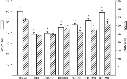 Figure 1 Effect of dietary oils on motor and sensory nerve conduction velocity in DIO Sprague-Dawley rats.