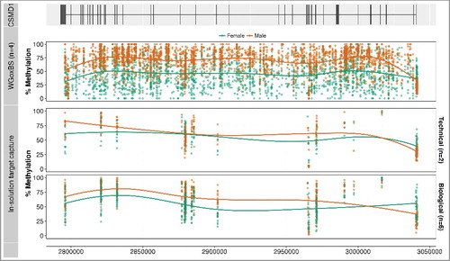 Figure 4. Methylation profiles of the 3’ region of the CSMD1 locus. The figure focuses on the 3’ end of CSMD1, where the 20 differentially methylated 5 kb regions (8:2,795,000-3,020,000) are located. The first track shows the gene structure of CSMD1—the exons are represented by vertical lines and the introns by a horizontal line. The second panel displays methylation profiles from the WGoxBS samples, where each dot represents one CpG site for each individual (male in orange and female in green). The third panel shows the same samples analyzed by in-solution target capture. The fourth panel shows independent biological replicate samples analyzed using in-solution capture. Placental WGoxBS samples show hypomethylation in females (green), which is technically and biologically validated using an in-solution target capture method. The figure is drawn using ggbio Bioconductor package [Citation17].