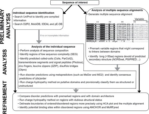 Figure 5. Proposed general scheme for prediction of disordered regions in a protein.