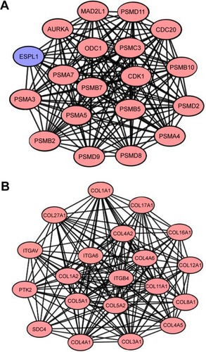 Figure 2 Functional modules in the PPI network.