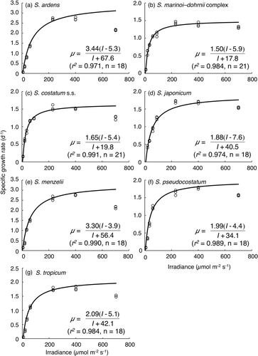 Fig. 4. Specific growth rates of strains of seven Skeletonema species as a function of irradiance. Curves were fit to a hyperbolic equation (see text for details). (a) S. ardens, (b) S. costatum s.s. (c) the S. marinoi–dohrnii complex, (d) S. japonicum, (e) S. menzelii, (f) S. pseudocostatum and (g) S. tropicum.